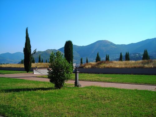 cypress trees cemetery cypress