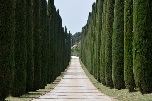 cypresses avenue driveway