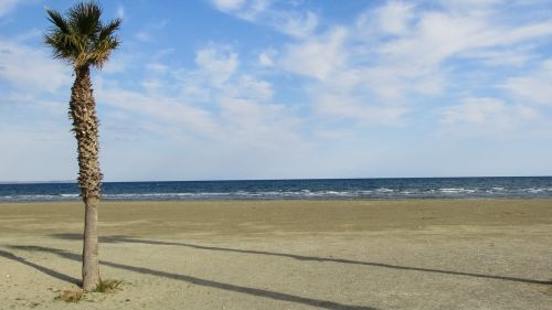 cyprus larnaca beach