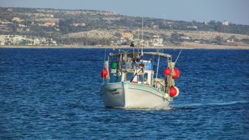 cyprus ayia napa fishing