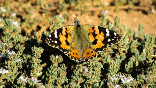 cyprus cavo greko national park