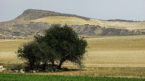 cyprus kelia landscape