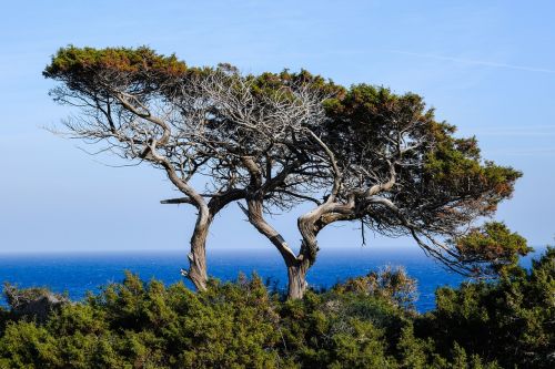 cyprus cavo greko national park