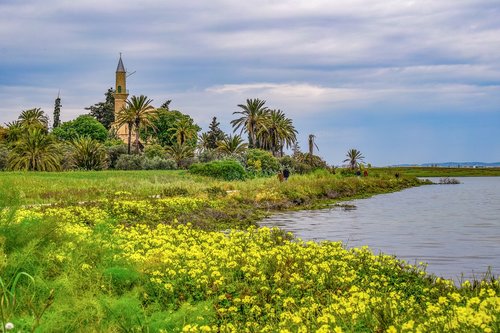 cyprus  larnaca  lake