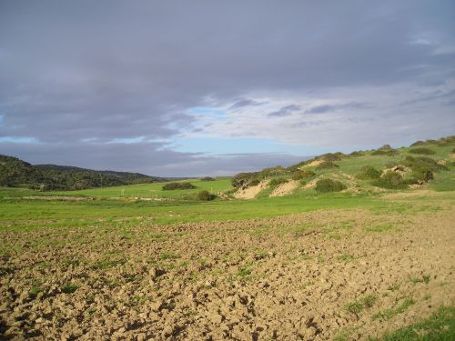 cyprus landscape meadow