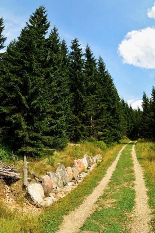 czech republic the giant mountains nature