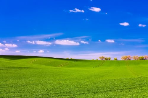 czech republic landscape field