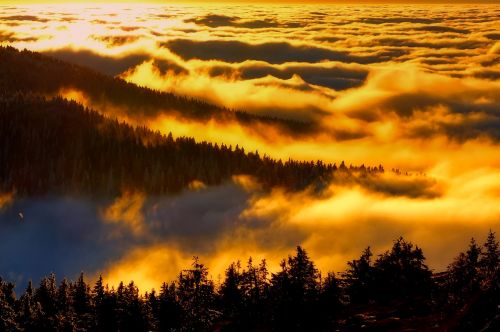 czech republic landscape scenic