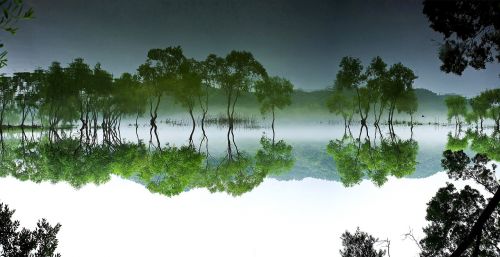 daechung forest lake