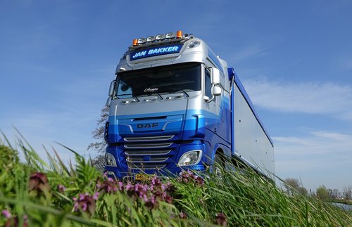 daf  truck  trailer