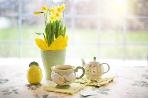 daffodils tea tea time