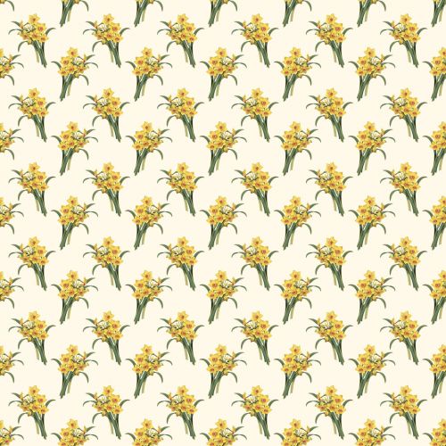 Daffodils Background