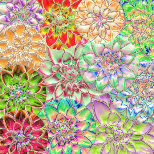 dahlia flower colorful art