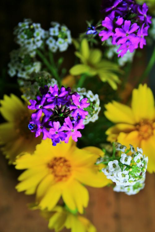 Dainty Flowers In A Mug