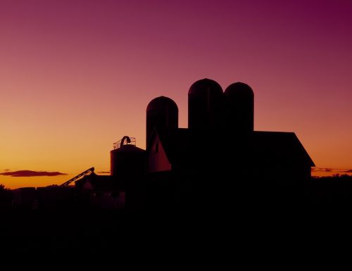 dairy barn silhouette sunset