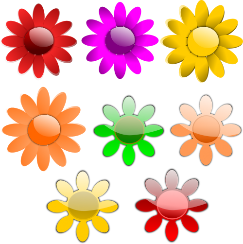 daisies flowers gloss