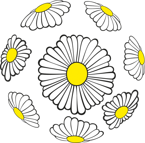 daisies sphere spring