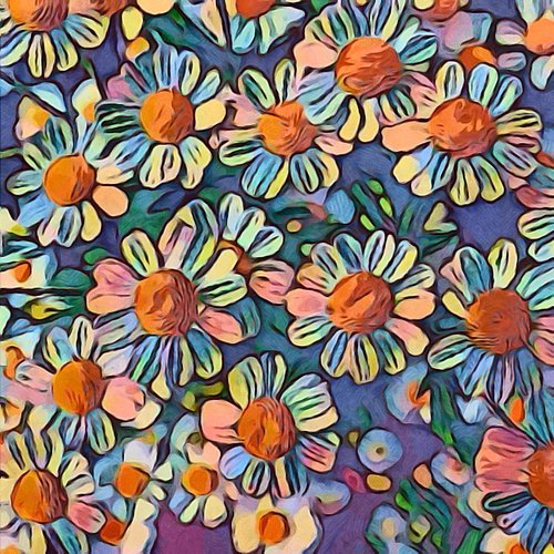 daisies  flowers  colorful