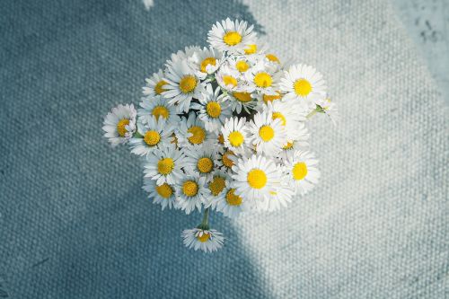 daisy flowers bouquet