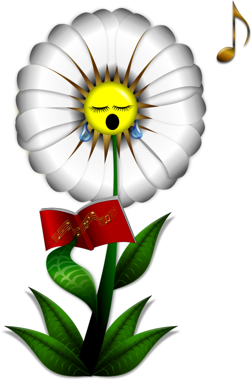 daisy flower singing