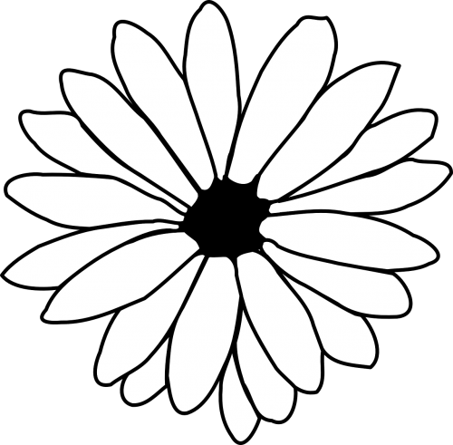 daisy outline black and white