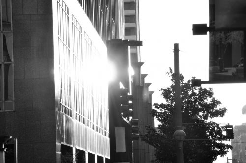 dallas downtown sunlight