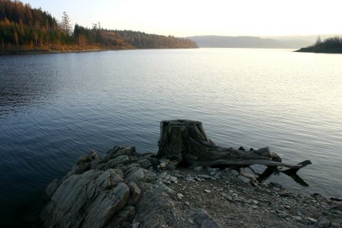 dam lake stump