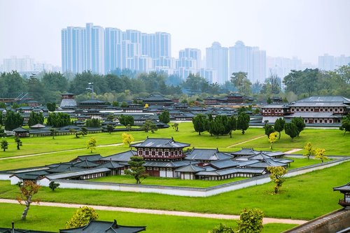 daming palace  china  heritage park