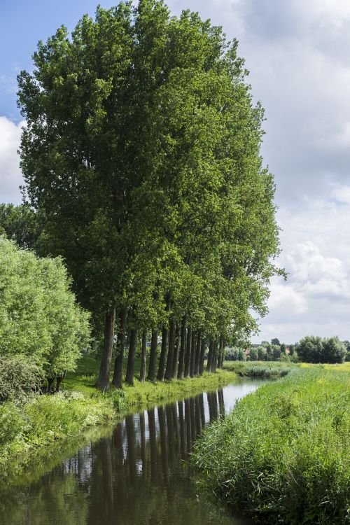 damme bruges channel light