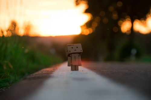 danbo sunset nature