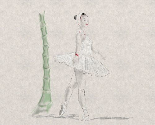 dance ballet tender