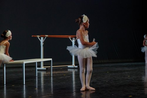 dance  ballerina  dancer