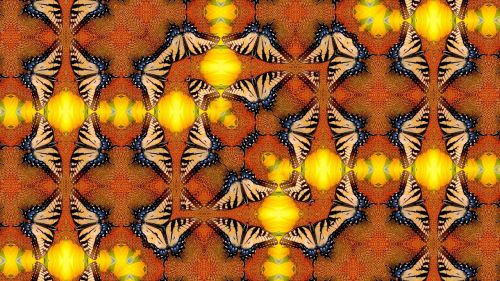 dancing butterfly kaleidoscope pattern