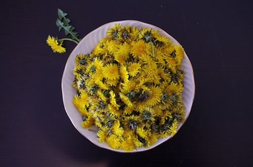 dandelion health salad