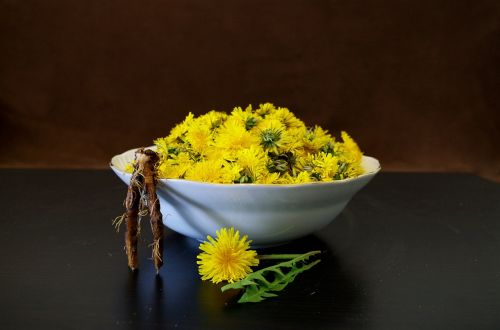 dandelion health salad