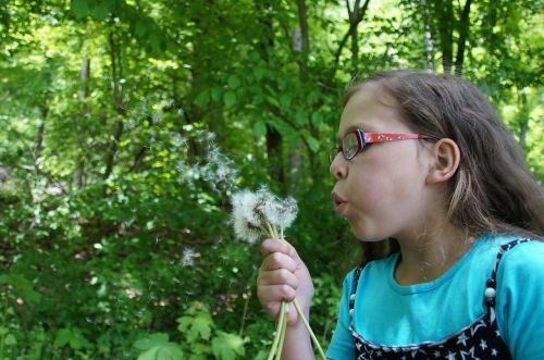 dandelion flower child