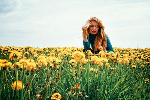 dandelion nature greens