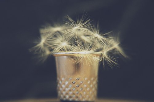 dandelion  thimble  vase