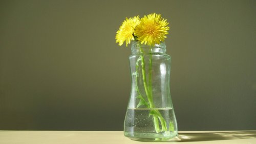 dandelion  glass  blossom