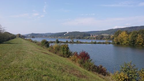 danube water nature