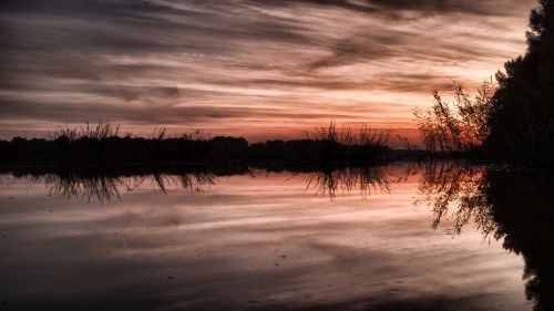 Danube Sunset IV