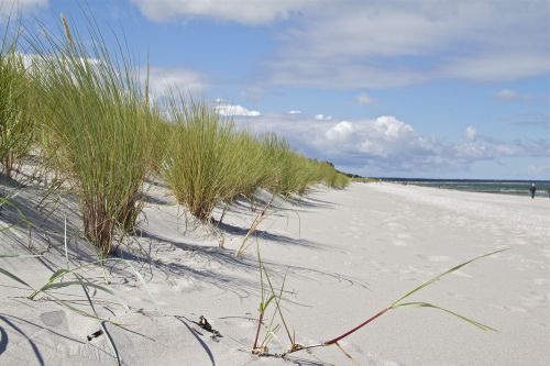 darß baltic sea island