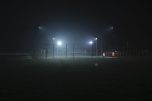 dark grass lights