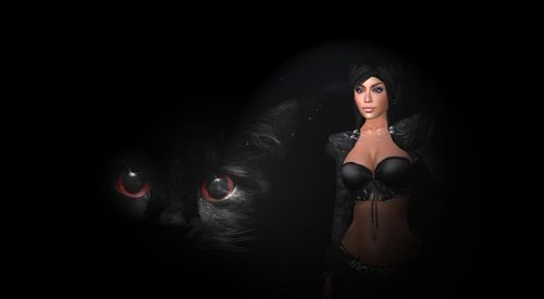 dark fantasy cat