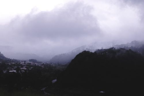 dark mountain trees