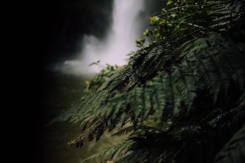 dark waterfall nature