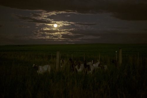 dark night clouds