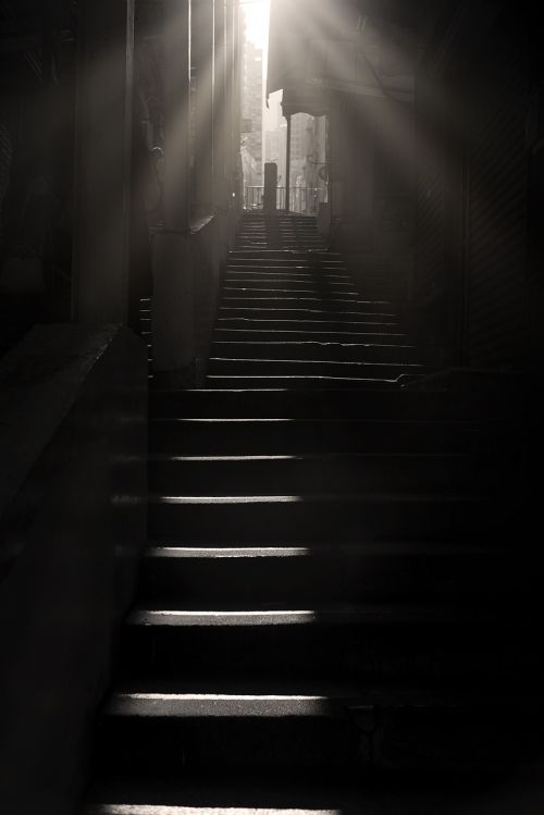 dark light step