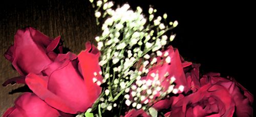Dark Background &amp; Red Roses