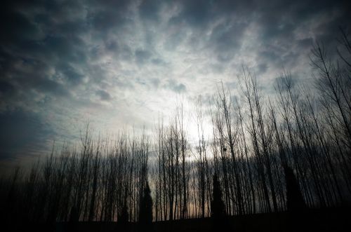 dark clouds trees sky